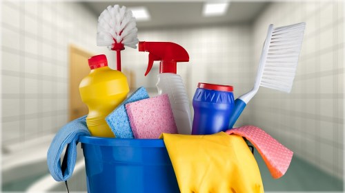 Pet stain odour removal in Bedford Park carpet cleaning scene