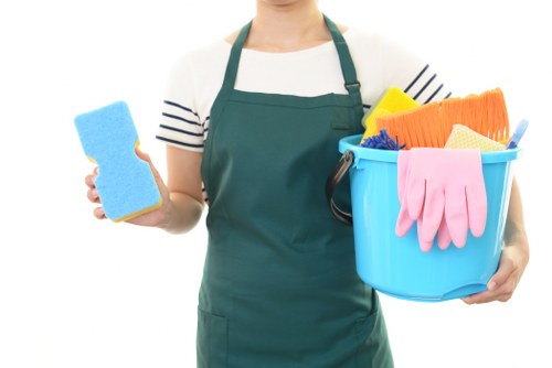 Bedford Park carpet cleaners providing professional cleaning in a home interior
