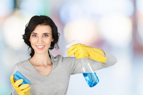 Professional upholstery cleaning service refreshing a sofa in Bedford Park