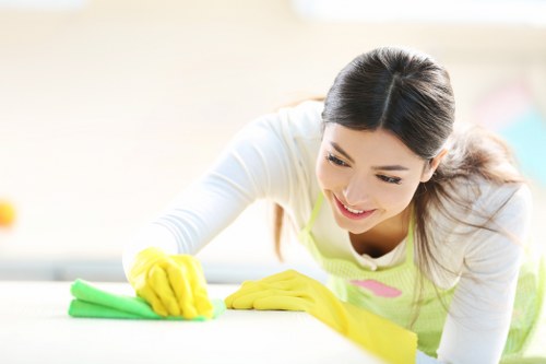 Carpet cleaning service in Bedford Park treating stains and refreshing fibers