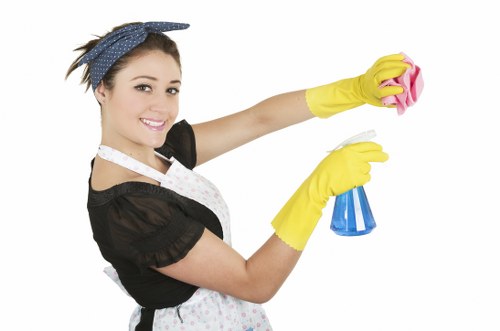 Bedford Park carpet maintenance and deep cleaning service