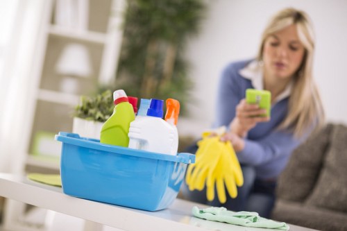 Professional pet stain odour removal service in Bedford Park
