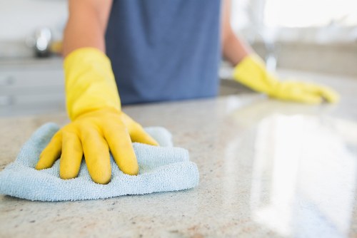 Pet stain and odor removal service in Bedford Park